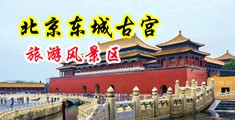 男女艹b啊啊视频中国北京-东城古宫旅游风景区